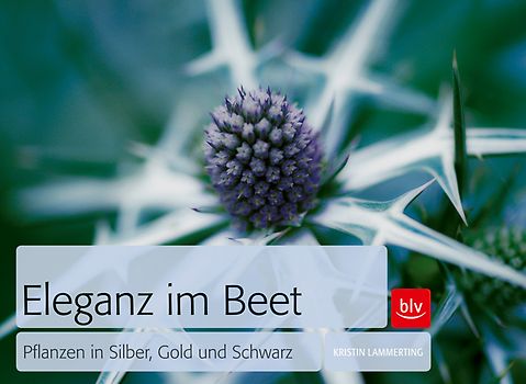 Eleganz im Beet