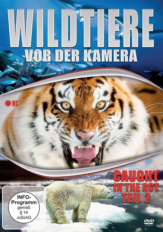 Wildtiere vor der Kamera 2 DVD