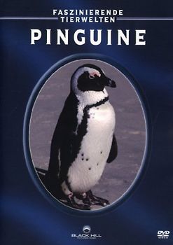 Pinguine - Faszinierende Tierwelten DVD