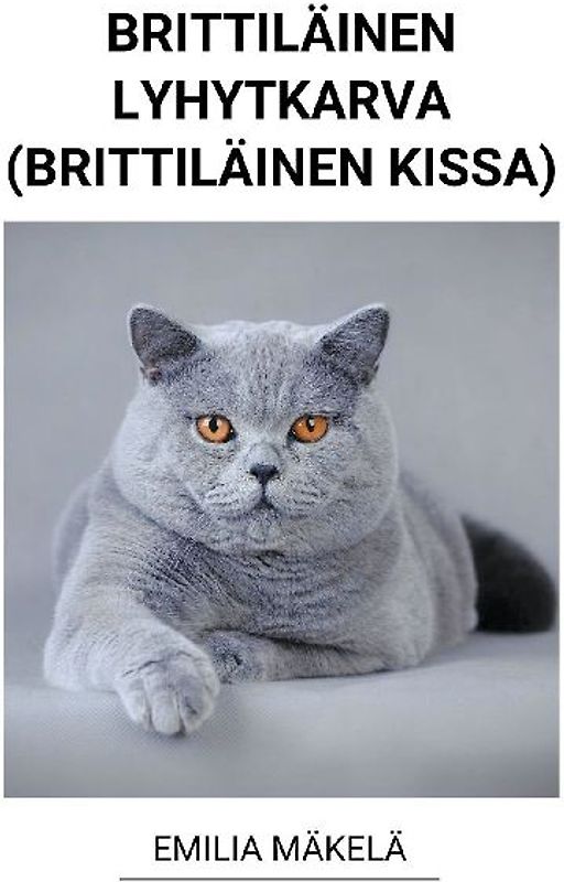 Brittiläinen Lyhytkarva (Brittiläinen Kissa)