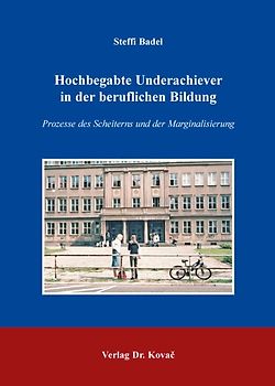 Hochbegabte Underachiever in der beruflichen Bildung
