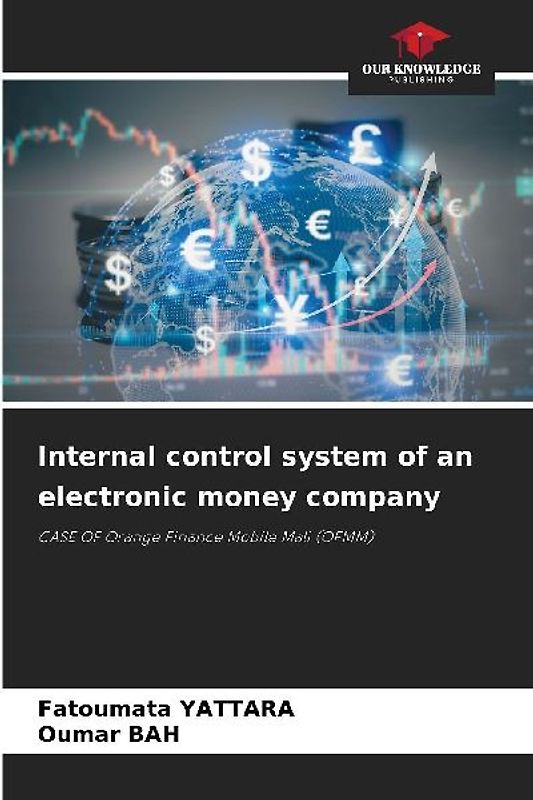 Internal control system of an electronic money company