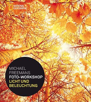 Michael Freemans Foto-Workshop Licht und Beleuchtung