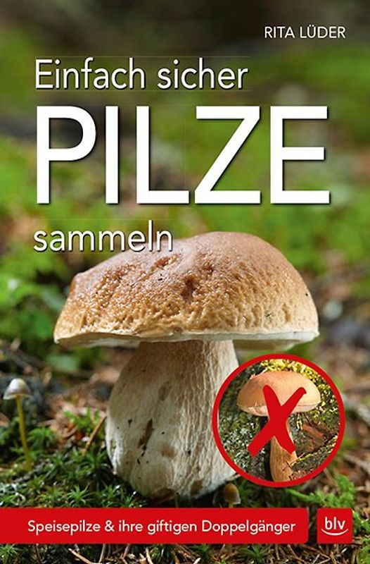 Einfach sicher Pilze sammeln