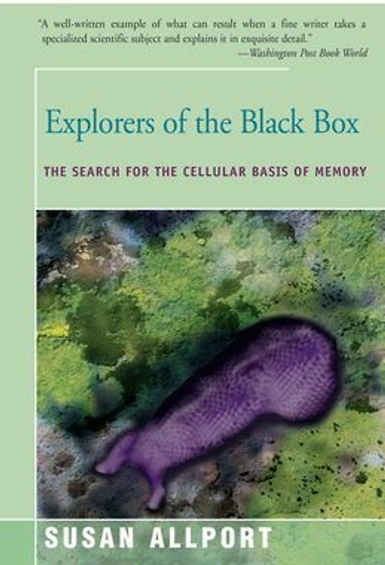 Explorers of the Black Box