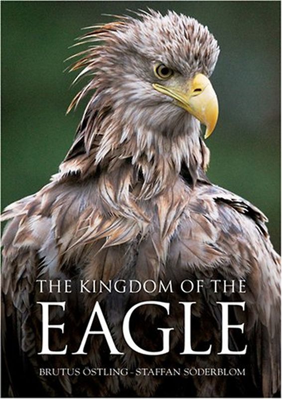 Kingdom of the Eagle