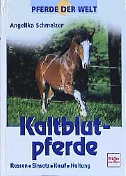 Kaltblutpferde