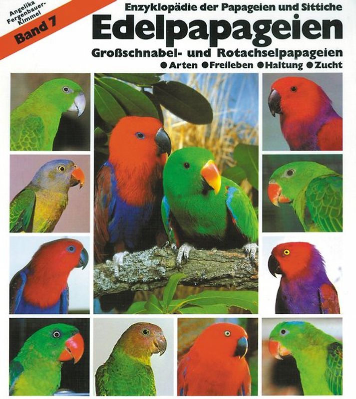 Edelpapageien. Band 7: Großschnabel- und Rotachselpapageien