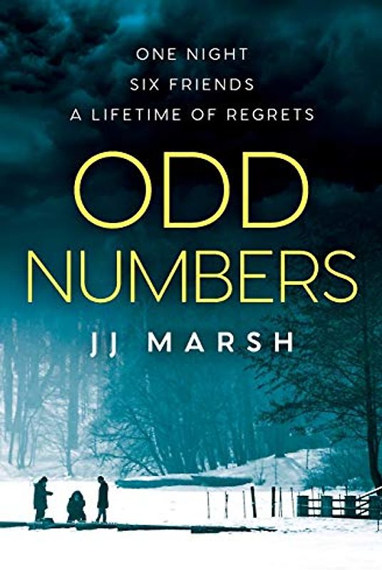 Odd Numbers (Standalone Psychological Thriller)