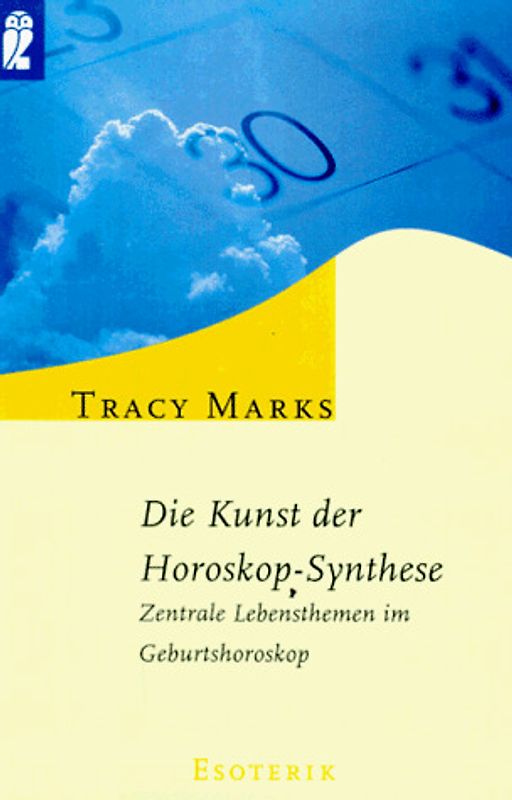 Die Kunst der Horoskop-Synthese. Zentrale Lebensthemen im Geburtshoroskop