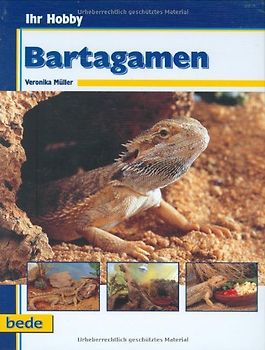 Ihr Hobby Bartagamen