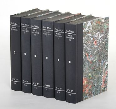 Karl Mays Werke: Historisch-Kritische Ausgabe für die Karl-May-Stiftung / Abteilung II: Fortsetzungsromane / Waldröschen V