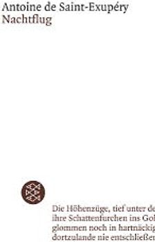 Nachtflug. Roman