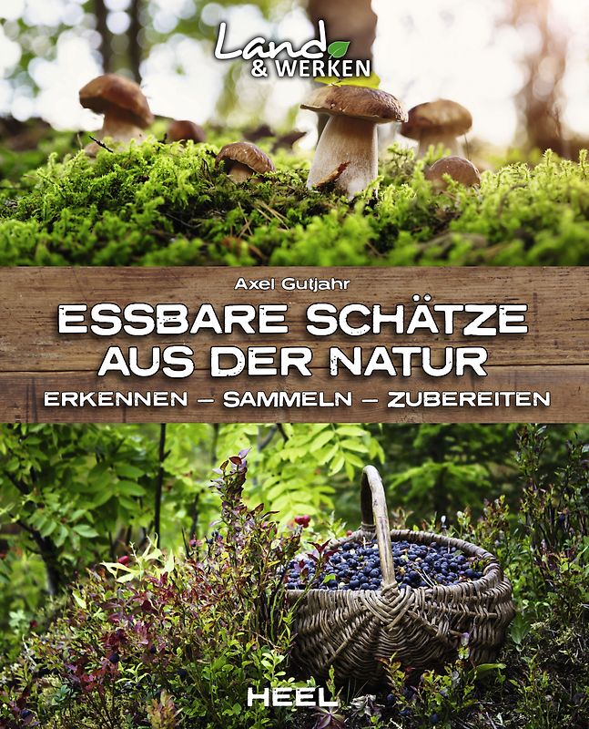 Essbare Schätze aus der Natur: Erkennen – Sammeln – Zubereiten
