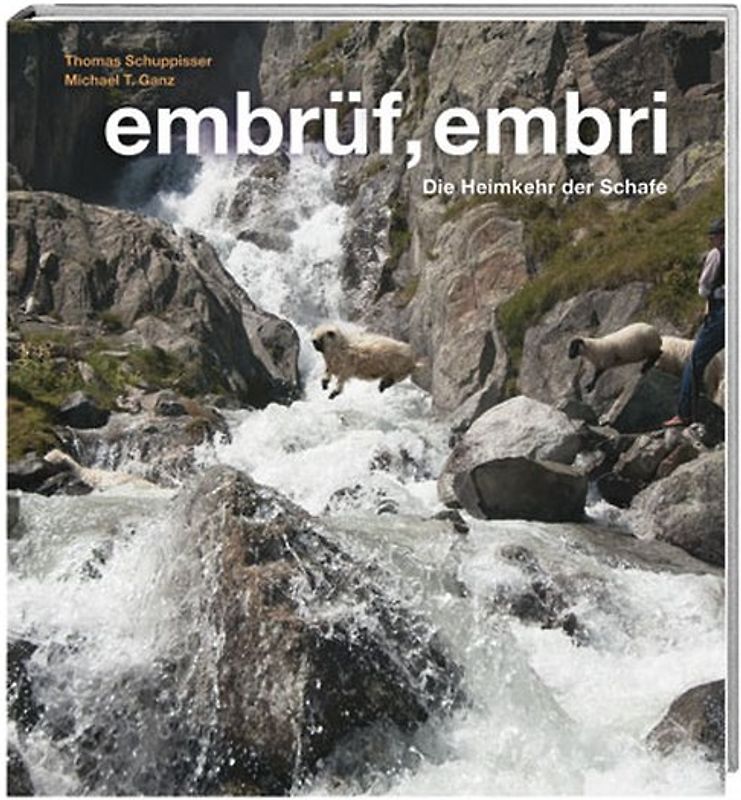 embrüf, embri