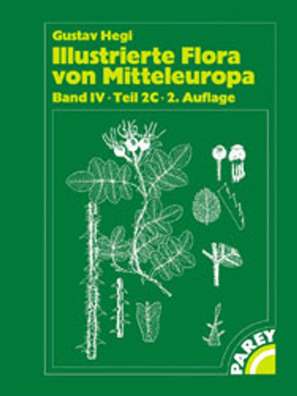 Illustrierte Flora von Mitteleuropa. Pteridophyta - Spermatophyta