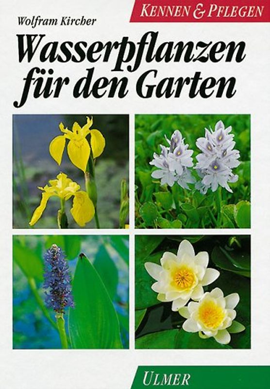 Wasserpflanzen für den Garten