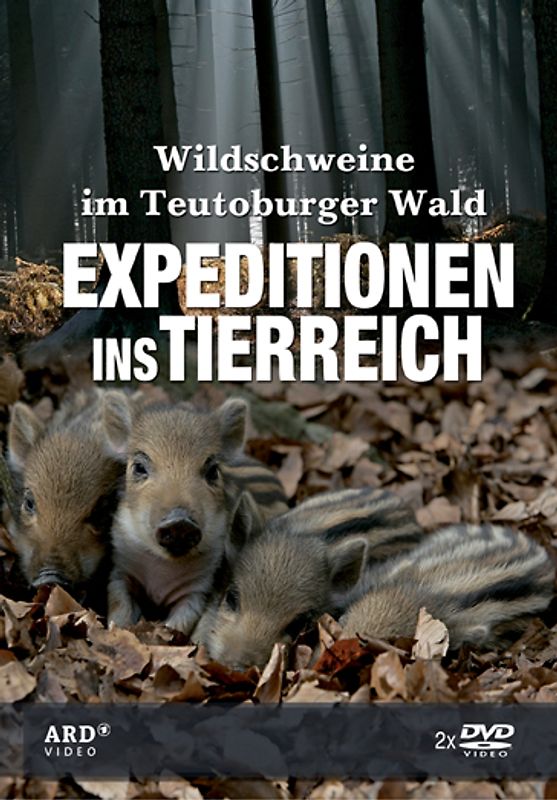 Expeditionen ins Tierreich: Wildschweine im Teutoburger Wald DVD