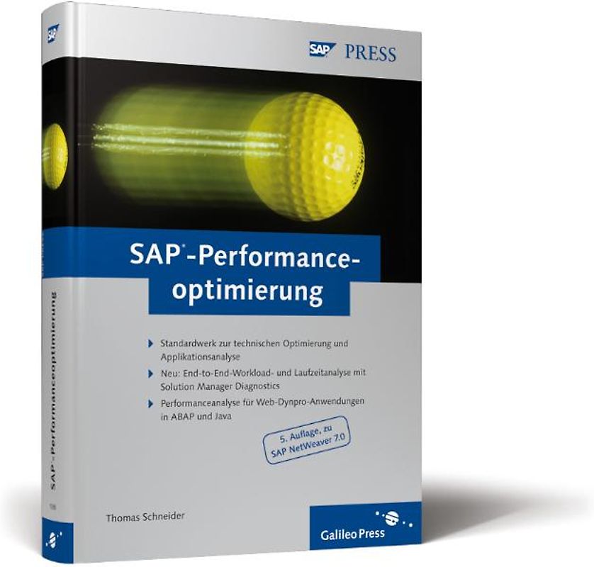 SAP-Performanceoptimierung