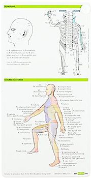 Neurologie pocketcard Set