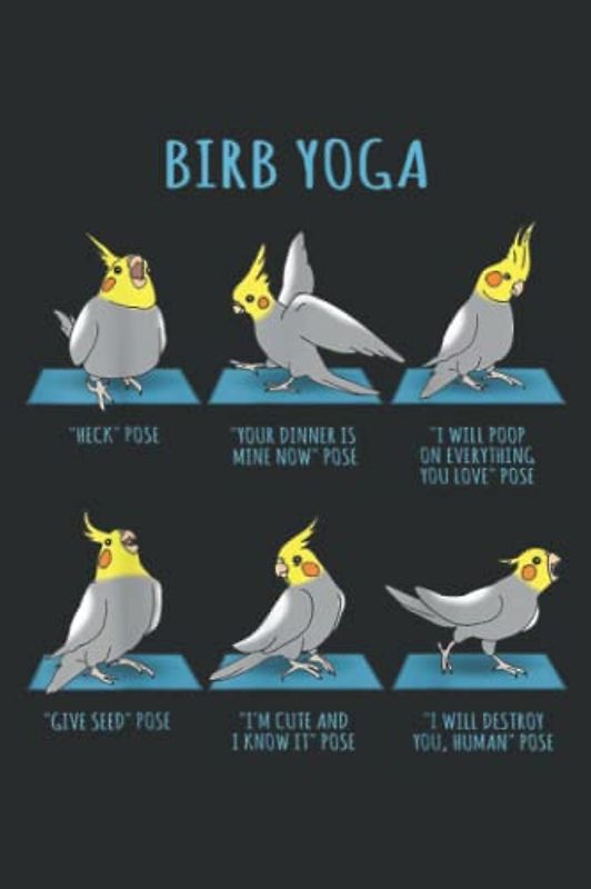 Funny Cockatiel Yoga Poses Birb Memes Cute Parrot Doodle: Lined Journal & Diary for Writing & Notes for Girls and Women, Memo Diary Subject Notebooks Planner, 6"x9"
