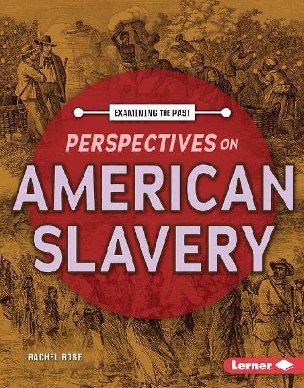 Perspectives on American Slavery