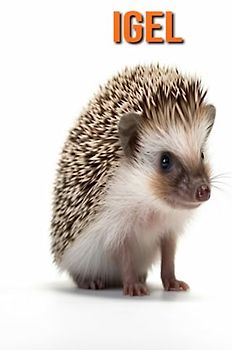 Igel: Buch mit lustigen Fakten für Kinder mit tollen Fotos