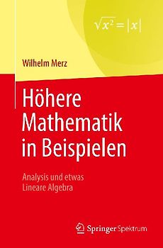 Höhere Mathematik in Beispielen