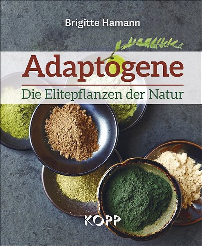 Adaptogene – Die Elitepflanzen der Natur