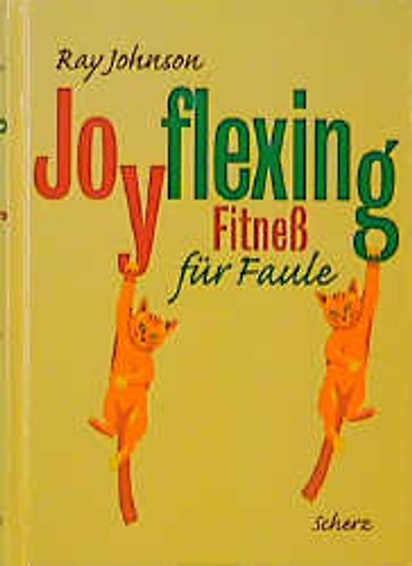 Joyflexing - Fitness für Faule