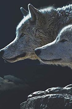 Tagebuch: Wolf Motiv - Wölfe bei Nacht