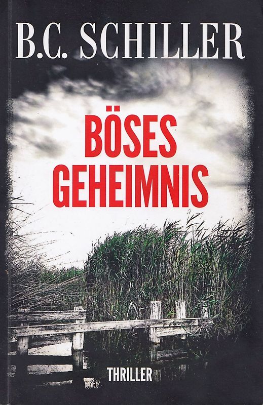 Böses Geheimnis - B.C. Schiller [Taschenbuch]