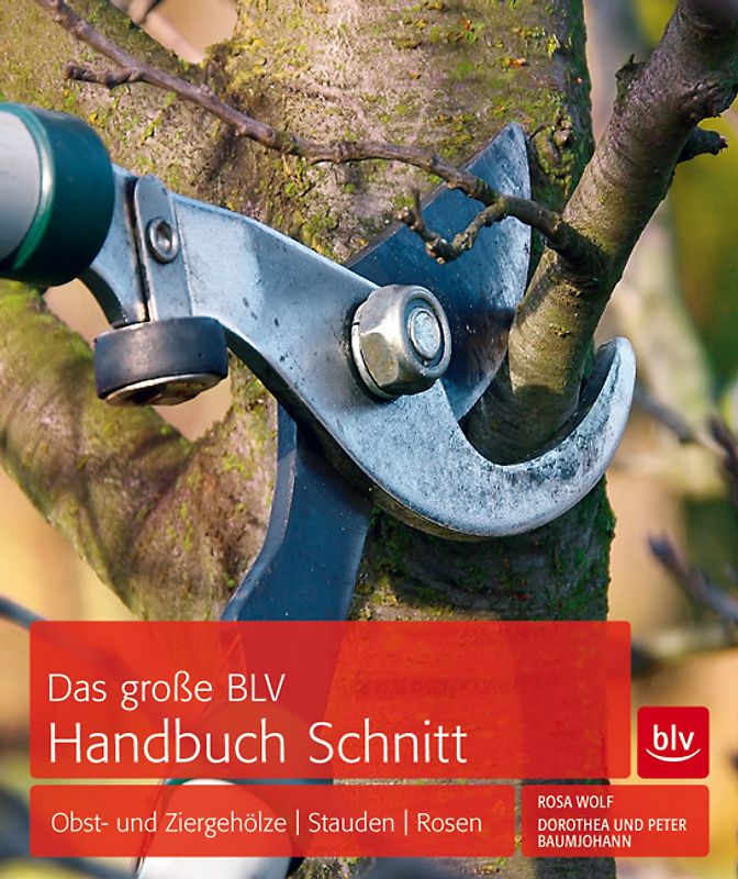 Das große BLV Handbuch Schnitt