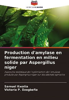 Production d'amylase en fermentation en milieu solide par Aspergillus niger