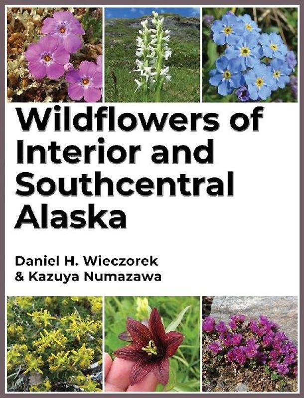 Wildflowers of Interior and Southcentral Alaska