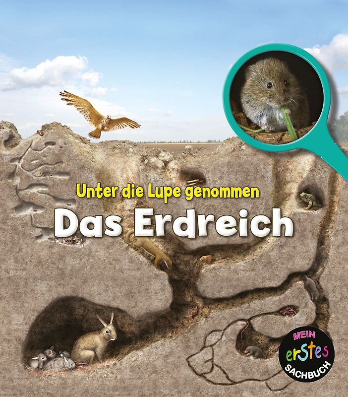 Das Erdreich
