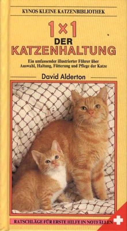 1 x 1 der Katzenhaltung