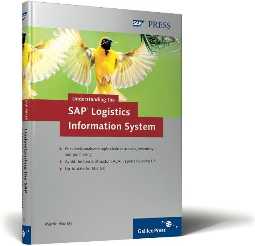 Understanding the SAP Logistics Information System