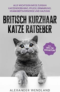 Britisch Kurzhaar Katze Ratgeber