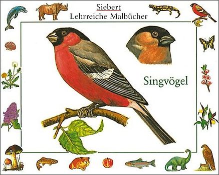 Singvögel. Malbuch. Verpackungseinheit