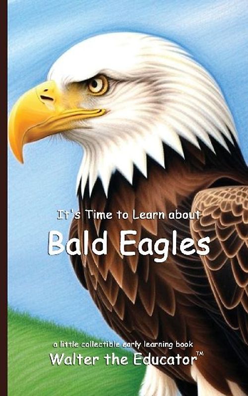 It's Time to Learn about Bald Eagles