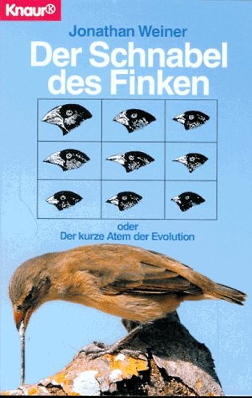 Der Schnabel des Finken. Oder Der kurze Atem der Evolution