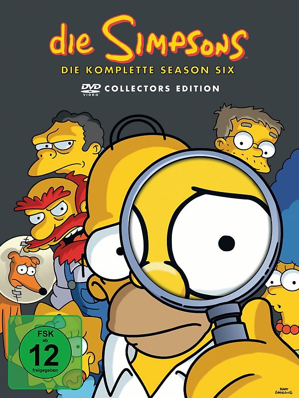 Simpsons Season 6 Box Set [4 DVDs] DVD