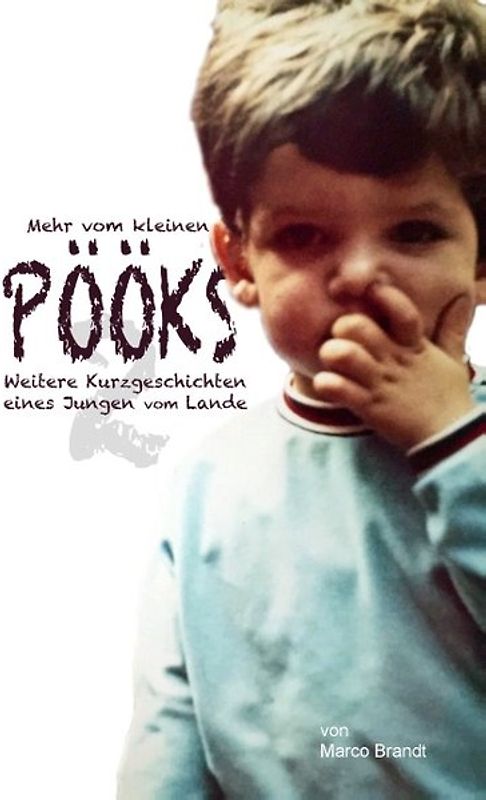 Pööks 2