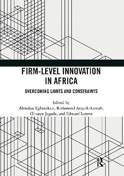 Firm-Level Innovation In Africa
