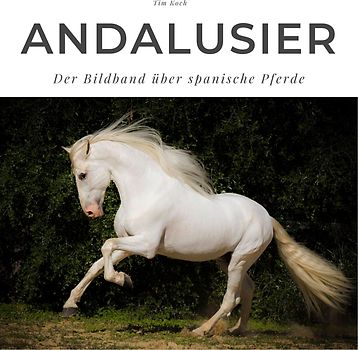 Andalusier