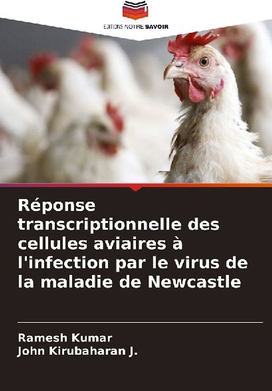 Réponse transcriptionnelle des cellules aviaires à l'infection par le virus de la maladie de Newcastle