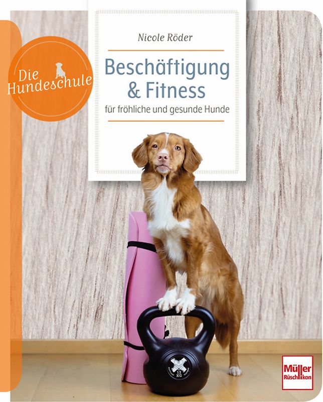 Beschäftigung & Fitness für fröhliche und gesunde Hunde