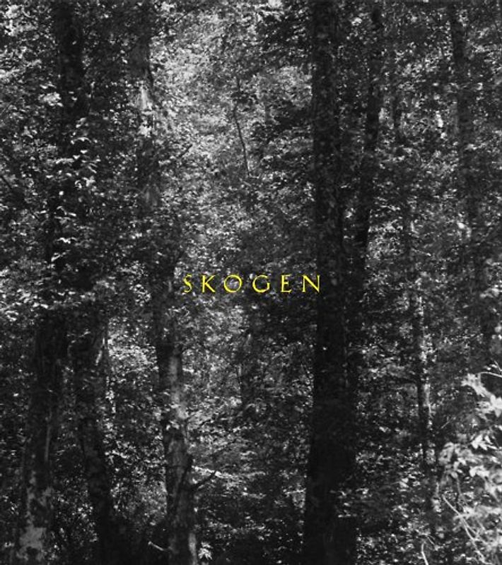 Skogen (Yale Art Gallery) - Adams, Robert