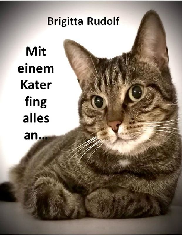 Alles fing mit einem Kater an